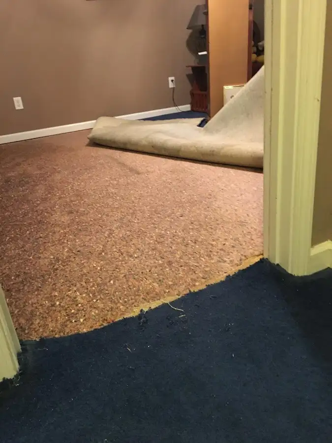 Carpet pad removal revealing water damage during Drying & Dehumidification in Merrillville